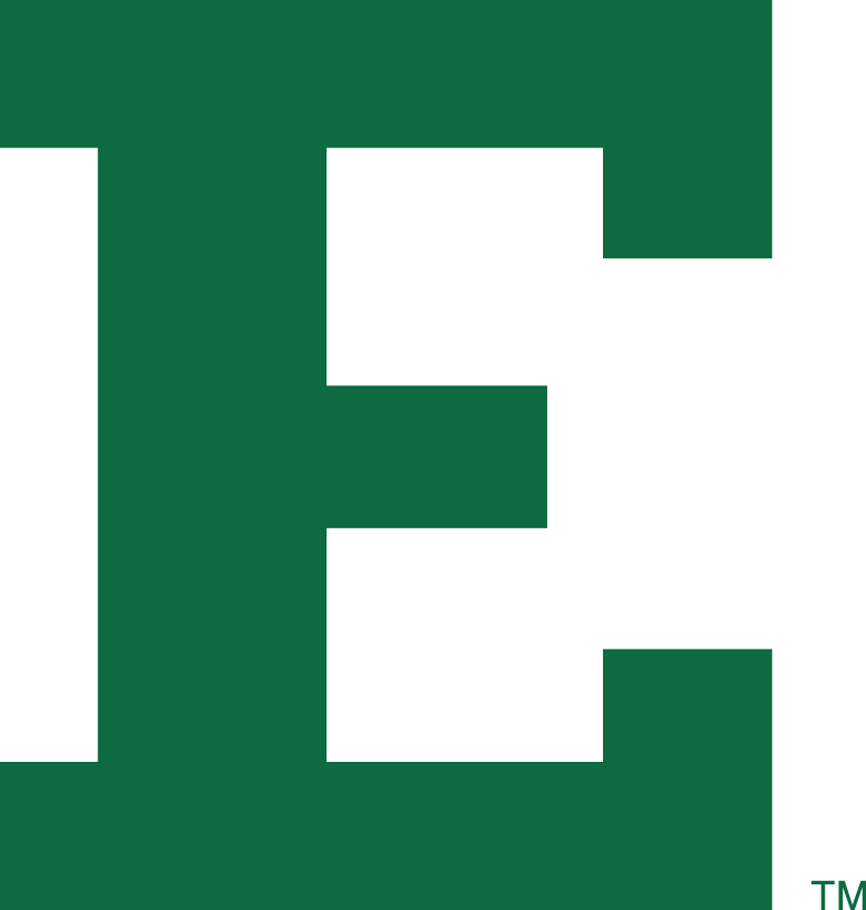 Eastern Michigan Eagles 1995-2001 Alternate Logo iron on transfers for clothing